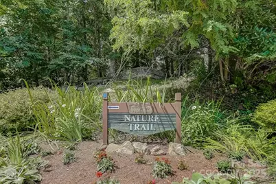 17 Mountain Gait Drive #17, Mars Hill, NC 28754 - Photo 46