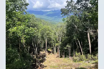 100 Mountain Field Lane, Burnsville, NC 28714 - Photo 20