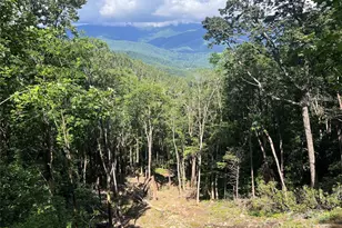 100 Mountain Fld Ln, Burnsville, NC 28714 - Photo 20