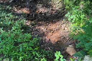 100 Mountain Fld Ln, Burnsville, NC 28714 - Photo 14