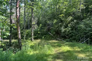 100 Mountain Fld Ln, Burnsville, NC 28714 - Photo 12