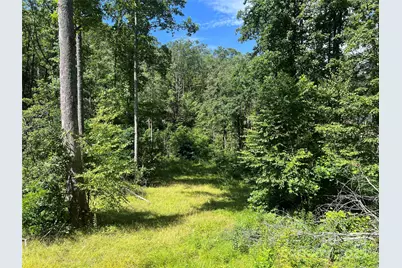 100 Mountain Field Lane, Burnsville, NC 28714 - Photo 10