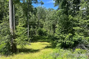 100 Mountain Fld Ln, Burnsville, NC 28714 - Photo 10