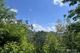 100 Mountain Fld Ln, Burnsville, NC 28714 - Photo 16