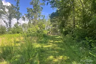 100 Mountain Fld Ln, Burnsville, NC 28714 - Photo 4