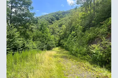 100 Mountain Field Lane, Burnsville, NC 28714 - Photo 26