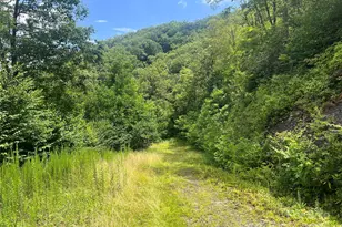 100 Mountain Fld Ln, Burnsville, NC 28714 - Photo 26