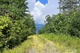 100 Mountain Fld Ln, Burnsville, NC 28714 - Photo 6