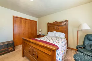 10 Chestnut Ridge Rd, Mills River, NC 28759 - Photo 14