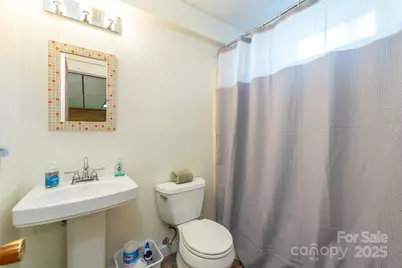 10 Chestnut Ridge Road, Mills River, NC 28759 - Photo 28