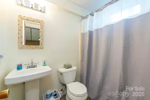 10 Chestnut Ridge Rd, Mills River, NC 28759 - Photo 28