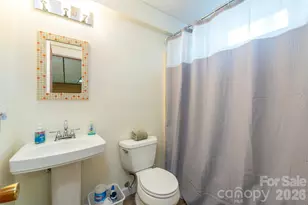 10 Chestnut Ridge Rd, Mills River, NC 28759 - Photo 26