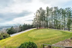 10 Chestnut Ridge Rd, Mills River, NC 28759 - Photo 34