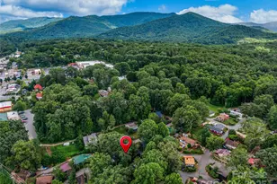 11 Pinewood Rd, Asheville, NC 28805 - Photo 28