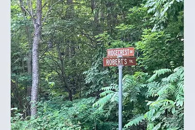 00 Roberts Trail #LOT 429, Lake Lure, NC 28746 - Photo 4