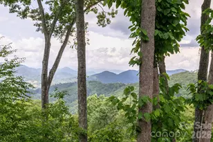 456 Spring House Dr, Burnsville, NC 28714 - Photo 18