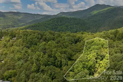 99999 Buffalo Trail #86, Asheville, NC 28805 - Photo 8