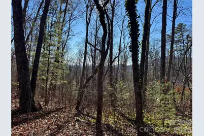 99999 Buffalo Trail #86, Asheville, NC 28805 - Photo 4