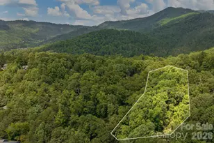 99999 Buffalo Trail, Asheville, NC 28805 - Photo 1