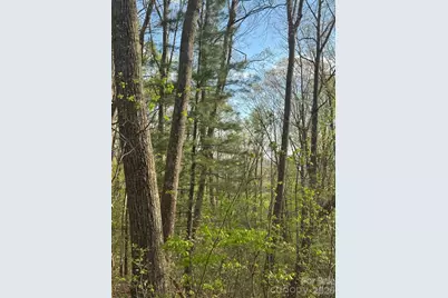 99999 Buffalo Trail #86, Asheville, NC 28805 - Photo 6