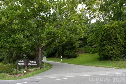 99999 Buffalo Trail #86, Asheville, NC 28805 - Photo 6