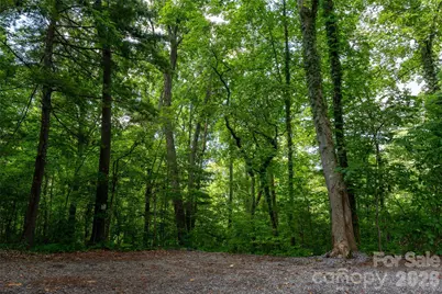 99999 Buffalo Trail #86, Asheville, NC 28805 - Photo 12