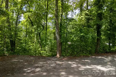 99999 Buffalo Trail #86, Asheville, NC 28805 - Photo 10