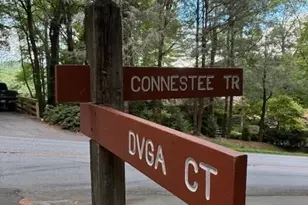 23 Dvga Ct, Brevard, NC 28712 - Photo 2