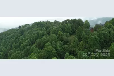 Tbd Bald Eagle Drive, Hendersonville, NC 28792 - Photo 10