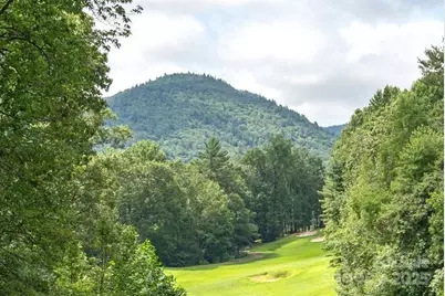 40 Blackberry Trail #6, Sapphire, NC 28774 - Photo 2