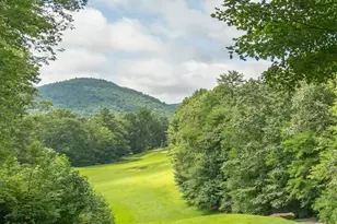 40 Blackberry Trail, Sapphire, NC 28774 - Photo 12