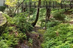 40 Blackberry Trail, Sapphire, NC 28774 - Photo 42