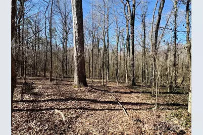 1417 Ellis Griffin Road, Wingate, NC 28174 - Photo 2