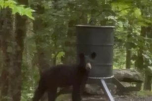 550 Welcome Way, Boone, NC 28607 - Photo 46