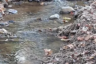 881 S Mountain Rd, Bostic, NC 28018 - Photo 46