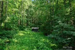 9065 Nc 63 Hwy, Leicester, NC 28748 - Photo 34