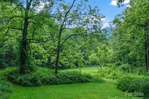 9065 Nc 63 Hwy, Leicester, NC 28748 - Photo 36