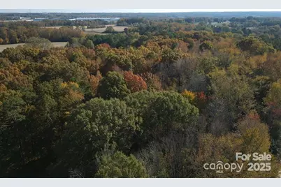 000 Smyrna Church Road, Pageland, SC 29728 - Photo 2