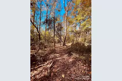 000 Smyrna Church Road, Pageland, SC 29728 - Photo 4