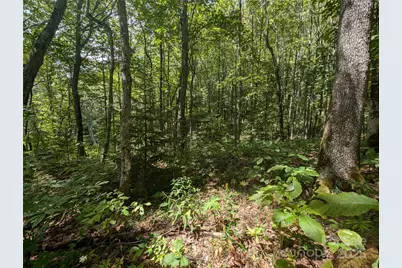 0 Greenspire Drive, Sylva, NC 28779 - Photo 8