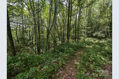 0 Greenspire Drive, Sylva, NC 28779 - Photo 10