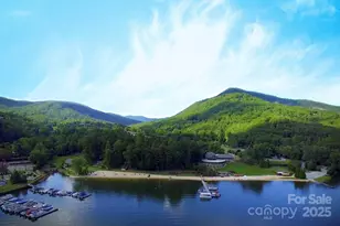 376 Grandview Dr, Lake Lure, NC 28746 - Photo 38