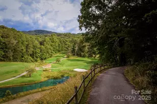 376 Grandview Dr, Lake Lure, NC 28746 - Photo 42