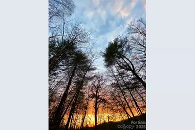 239 Three Mile Knob Road, Pisgah Forest, NC 28768 - Photo 10