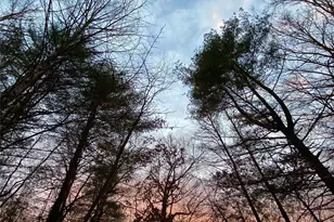 239 Three Mile Knob Rd, Pisgah Forest, NC 28768 - Photo 10