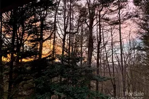 239 Three Mile Knob Rd, Pisgah Forest, NC 28768 - Photo 48