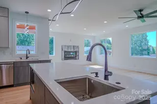 133 S Grove St, Asheville, NC 28801 - Photo 46