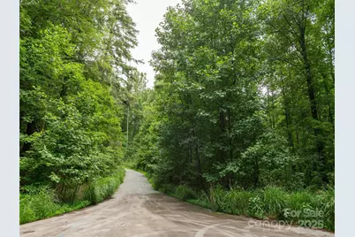 0 Willow Falls Lane, Hendersonville, NC 28792 - Photo 10