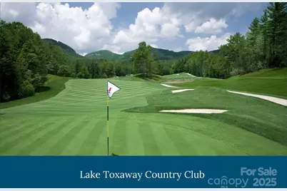 341 Mills Creek Point, Lake Toxaway, NC 28747 - Photo 20