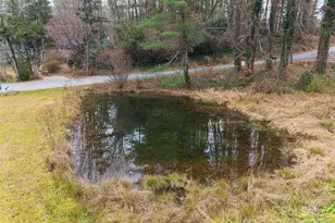 57 Twin Ponds Ln, Hendersonville, NC 28739 - Photo 36